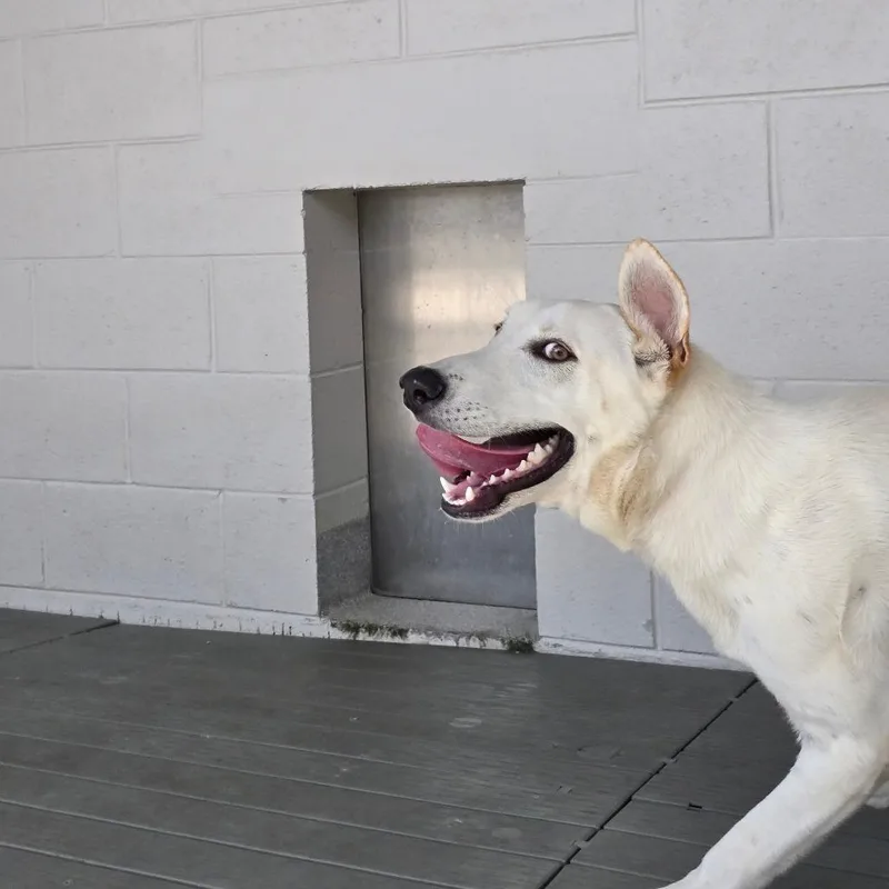 Casper thumbnail 2