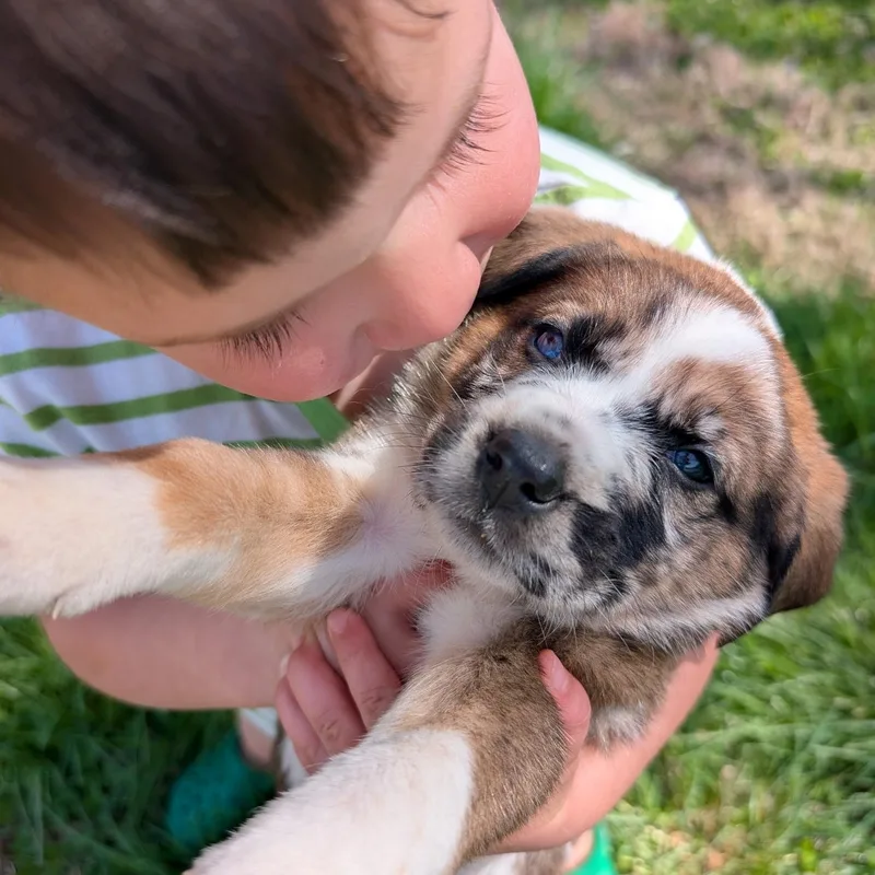 Green “bean” thumbnail 3