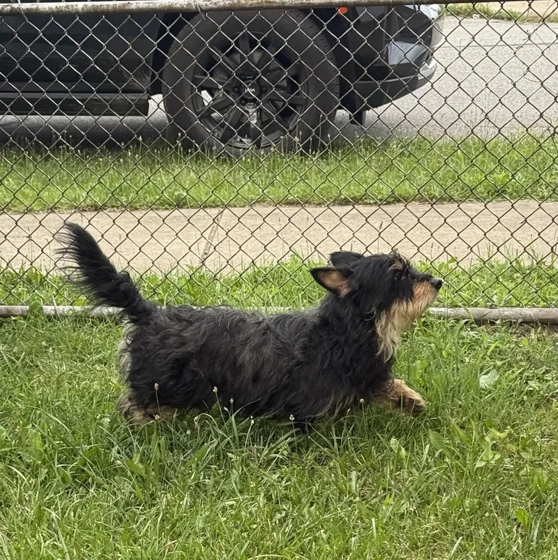 Max