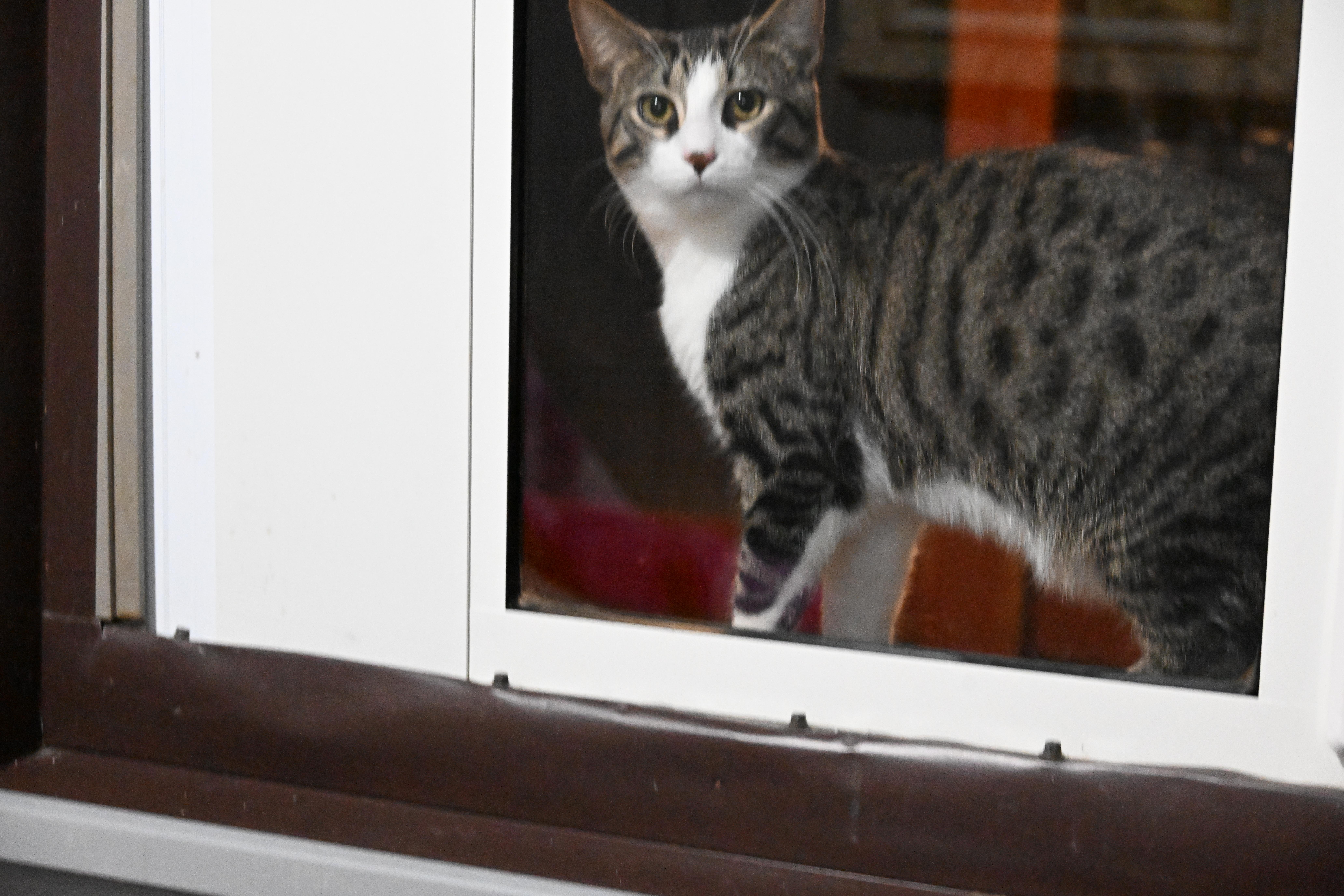 Bobbi Jo thumbnail 3