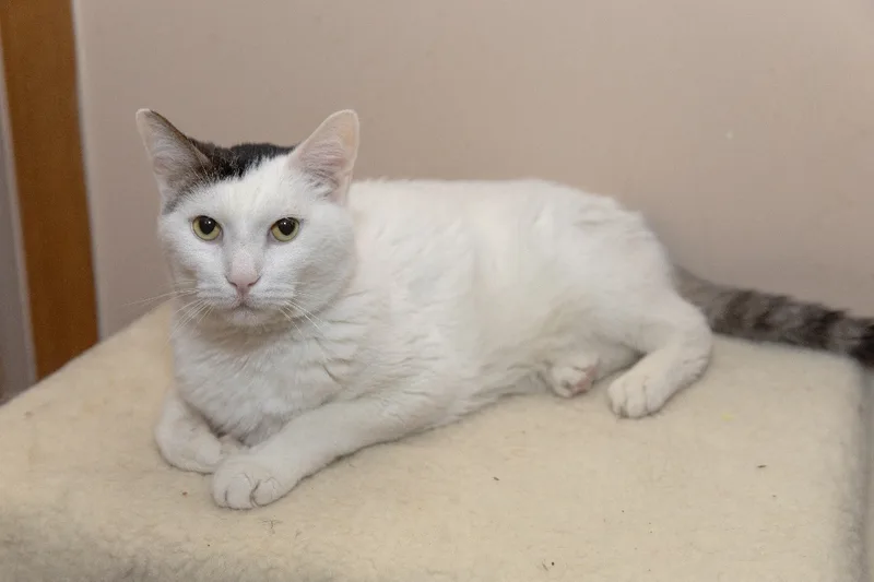 Pink Floyd thumbnail 2