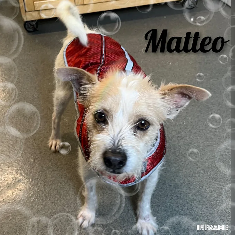 Mateo thumbnail 2
