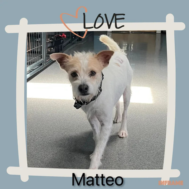 Mateo thumbnail 3