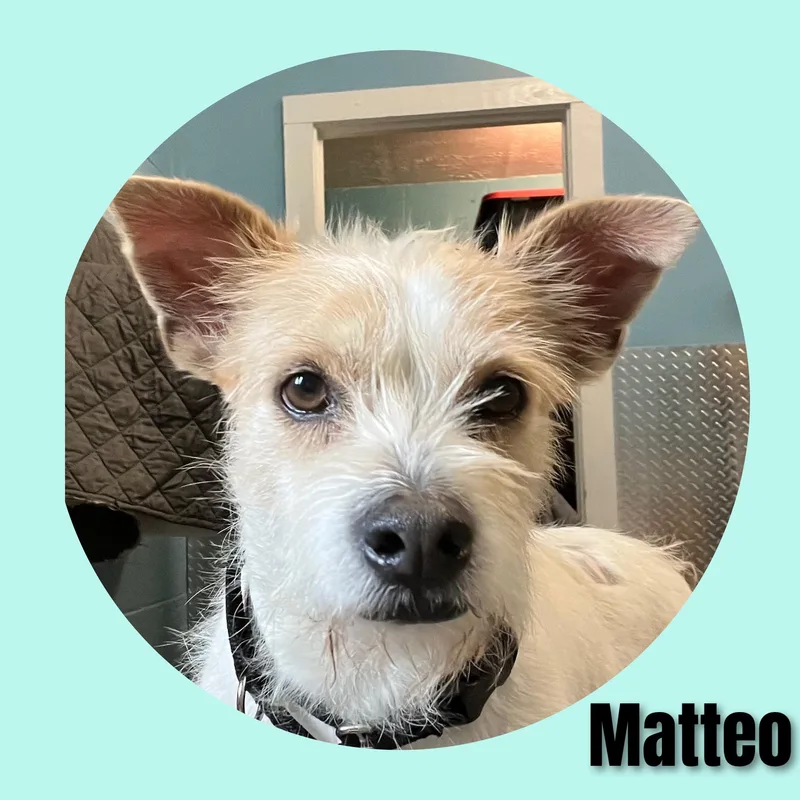 Mateo thumbnail 4
