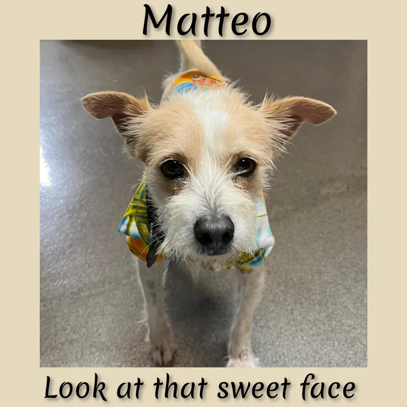 Mateo thumbnail 5