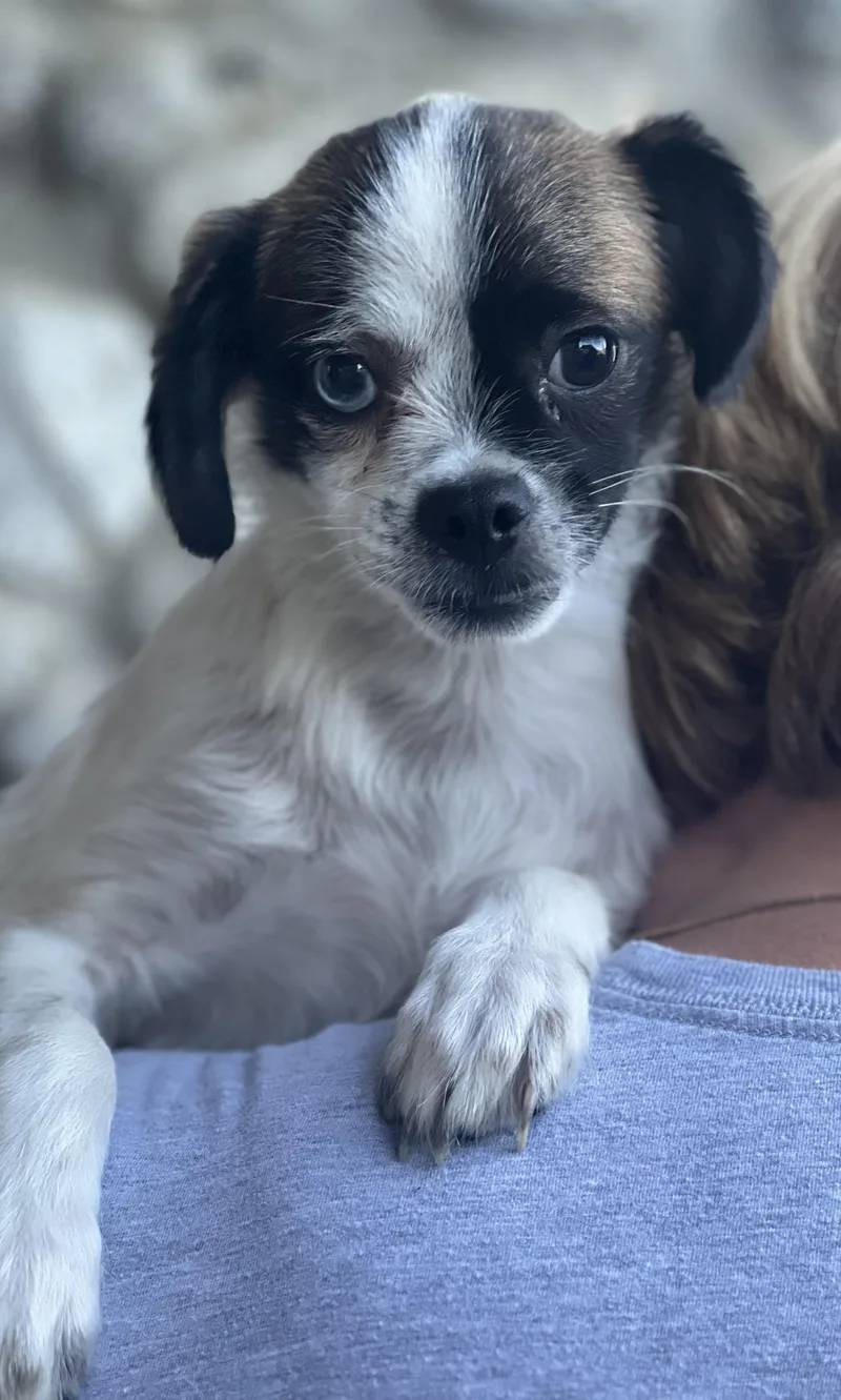 Buster