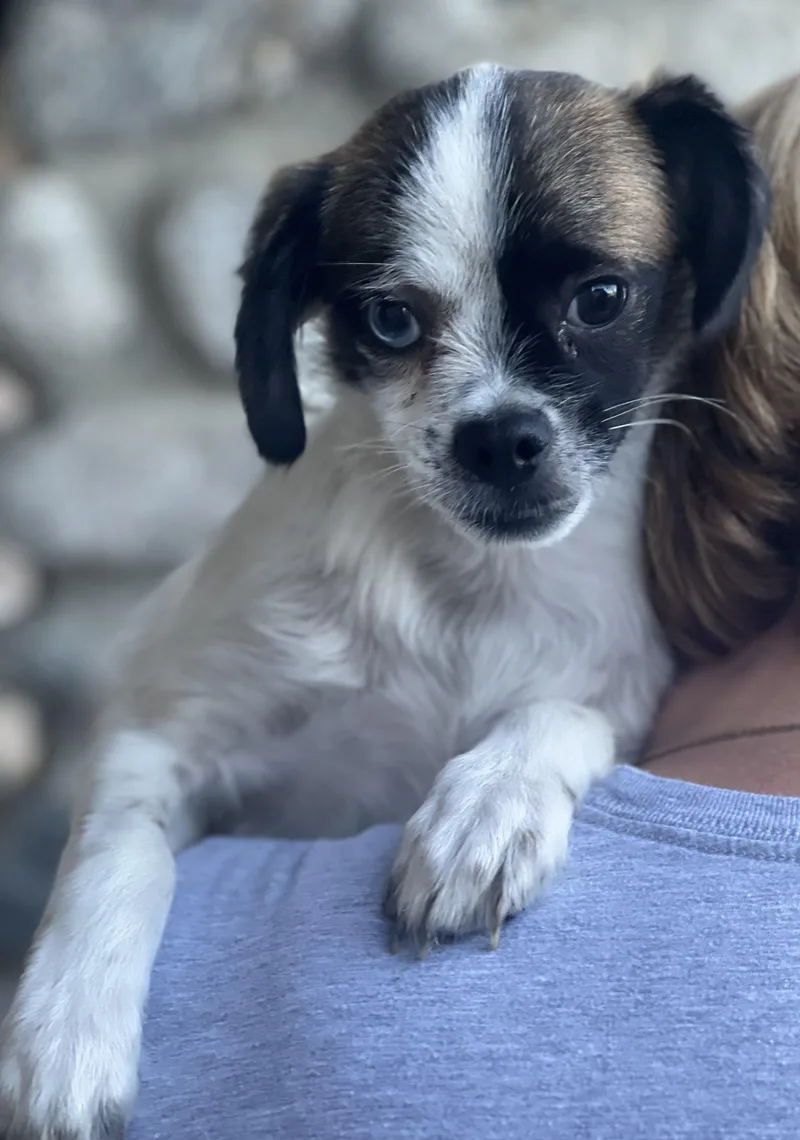 Buster thumbnail 3