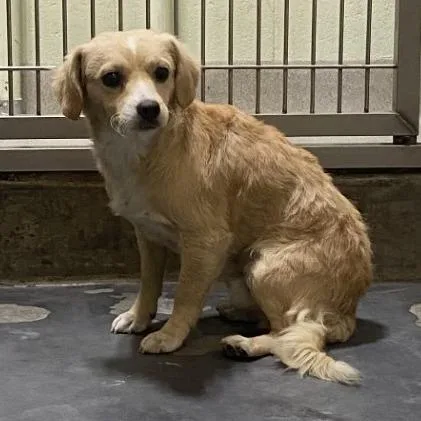 Little Shadow thumbnail 2