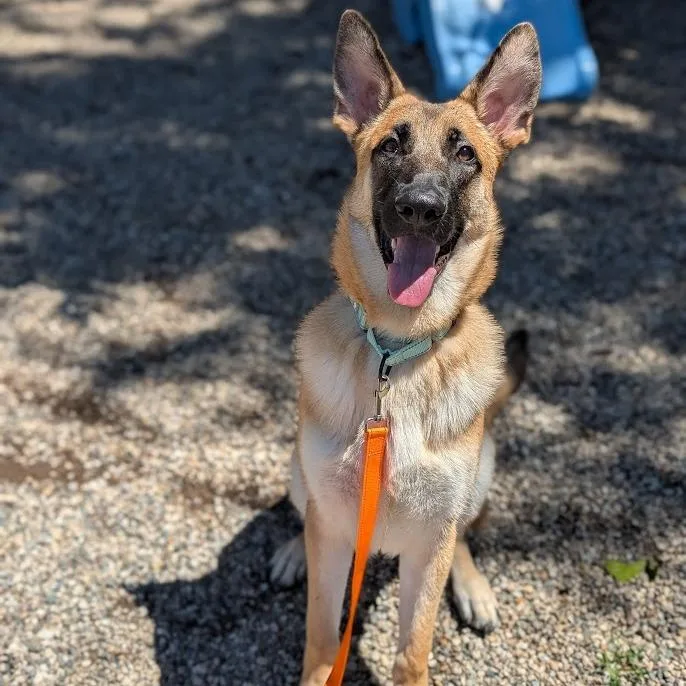 Max