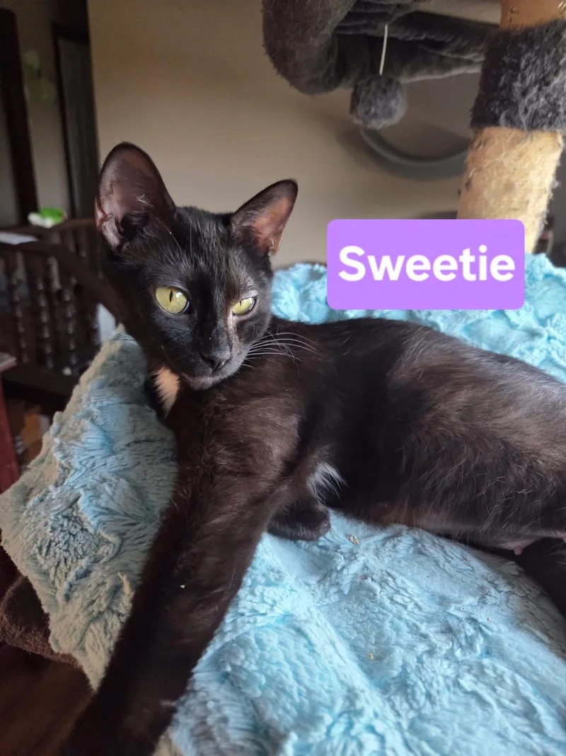 Sweetie