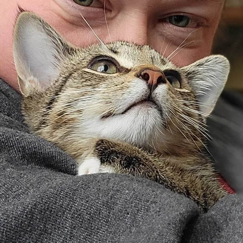 Jalapeno thumbnail 6