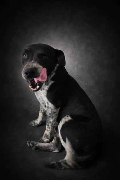 Rusty Spurs thumbnail 2