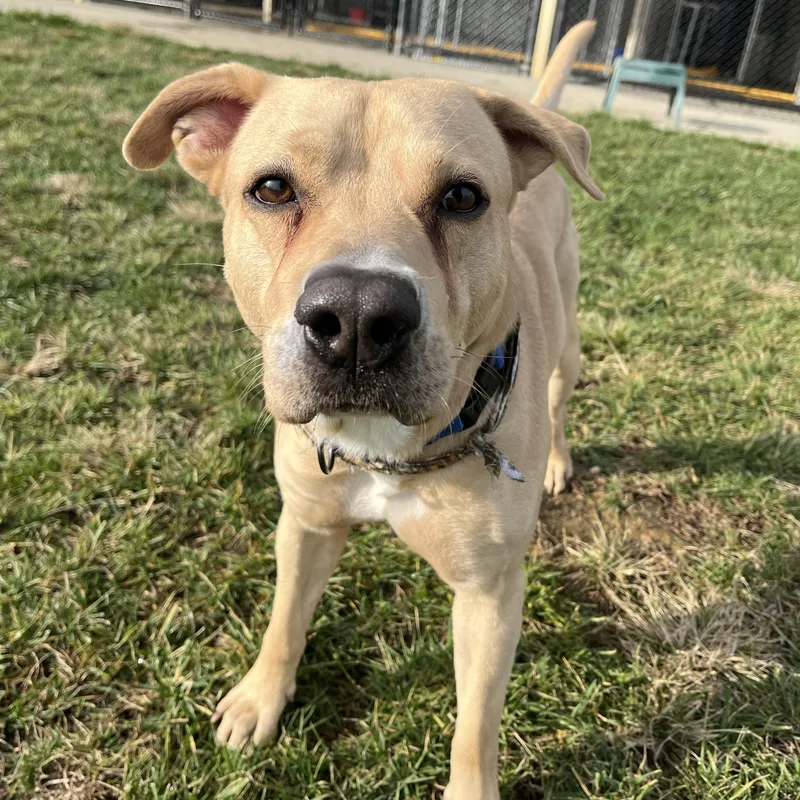 Twizzler thumbnail 2