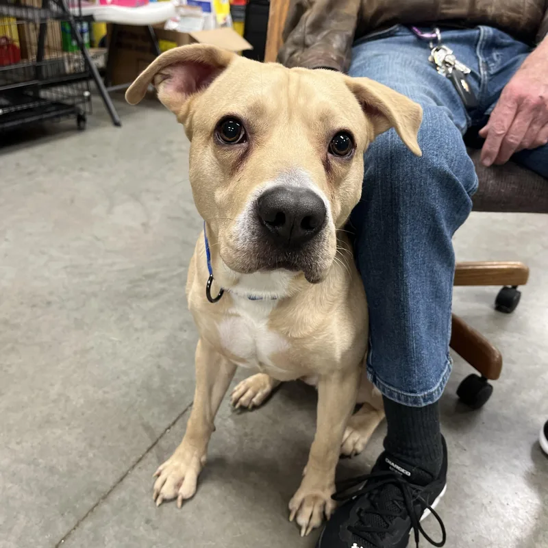 Twizzler thumbnail 3