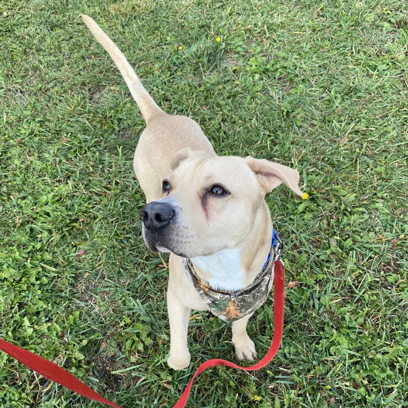 Twizzler thumbnail 5