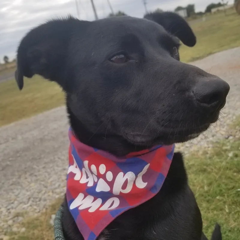 Duke Elliot thumbnail 2