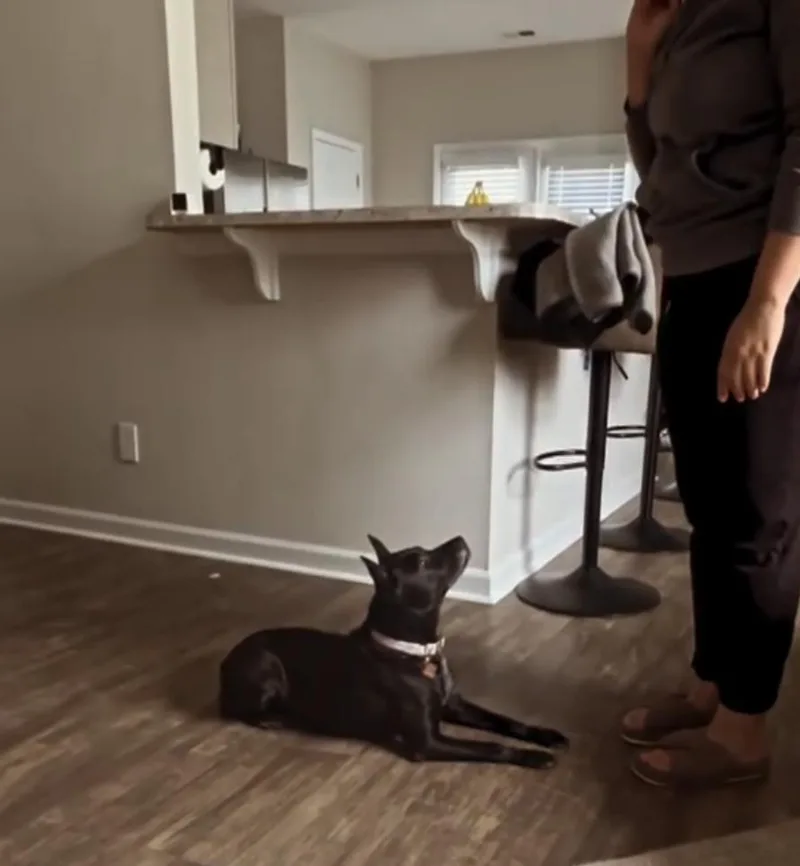 Mattie Girl thumbnail 2