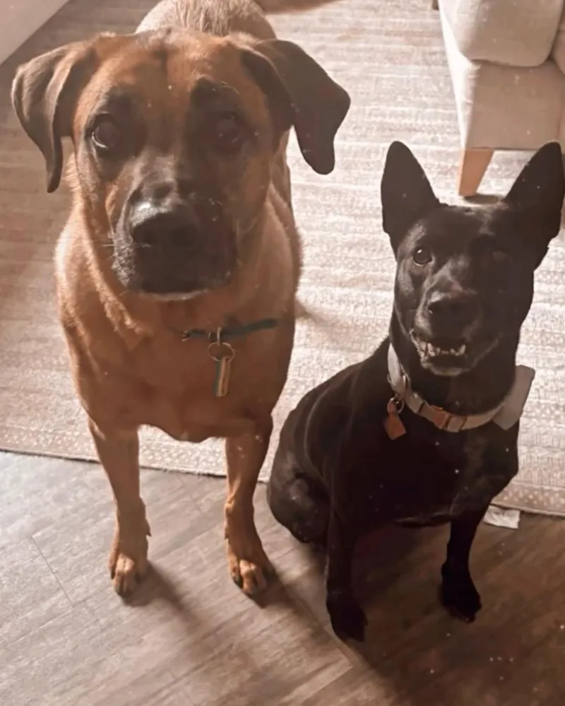 Mattie Girl thumbnail 4