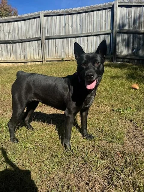 Mattie Girl thumbnail 5