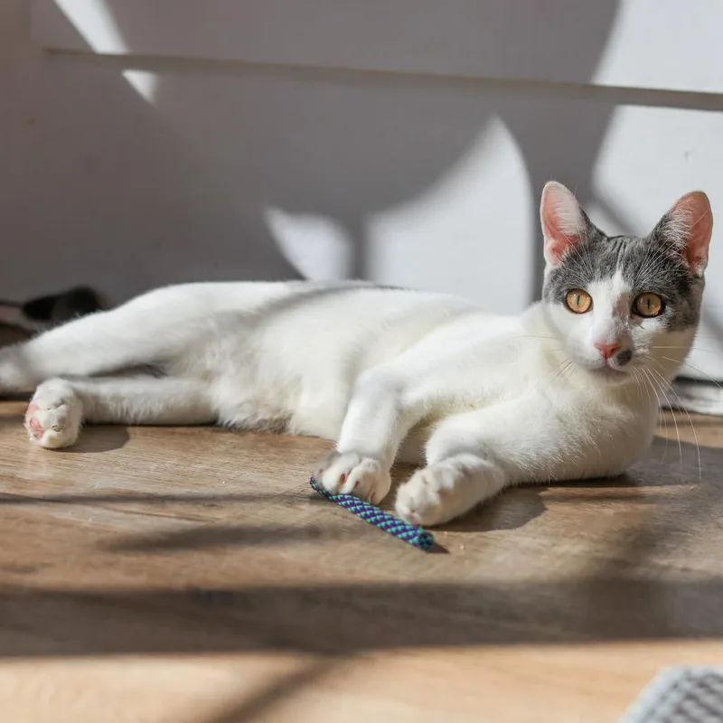 Ben Grimm thumbnail 2