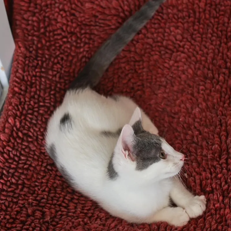 Ben Grimm thumbnail 3