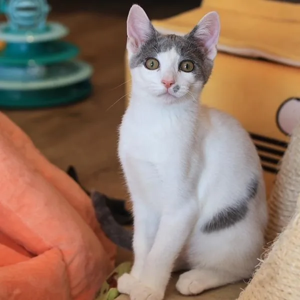 Ben Grimm thumbnail 4