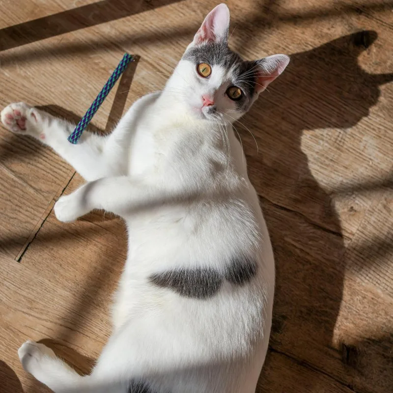 Ben Grimm thumbnail 5