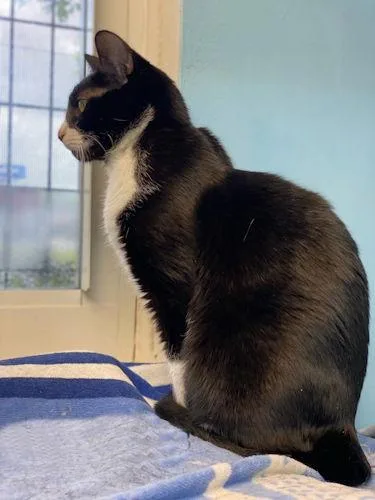 Melanie  Center thumbnail 2