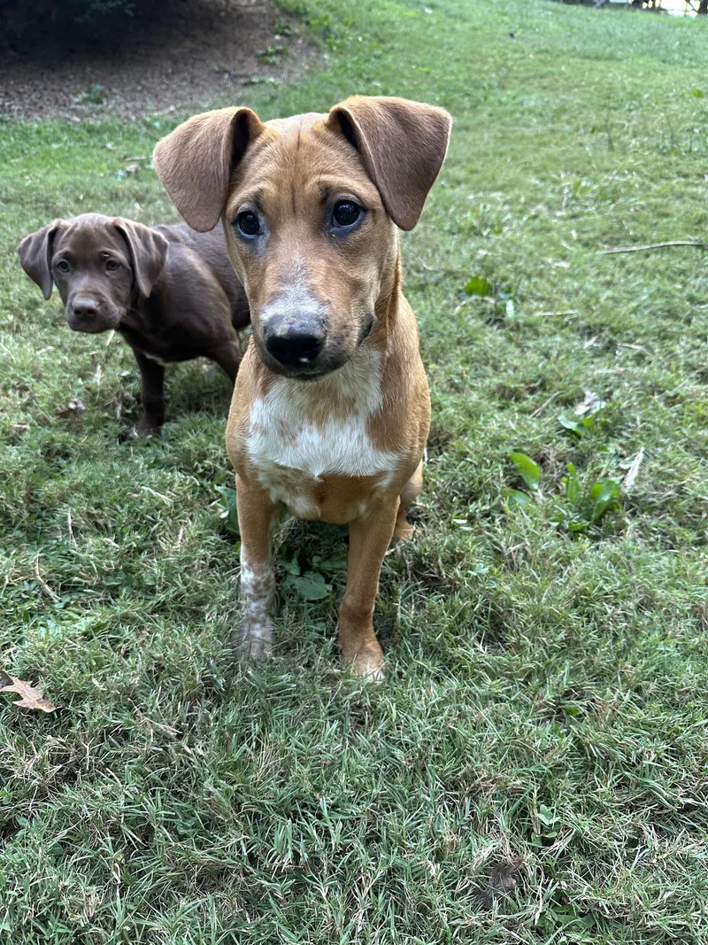 Sandy thumbnail 2