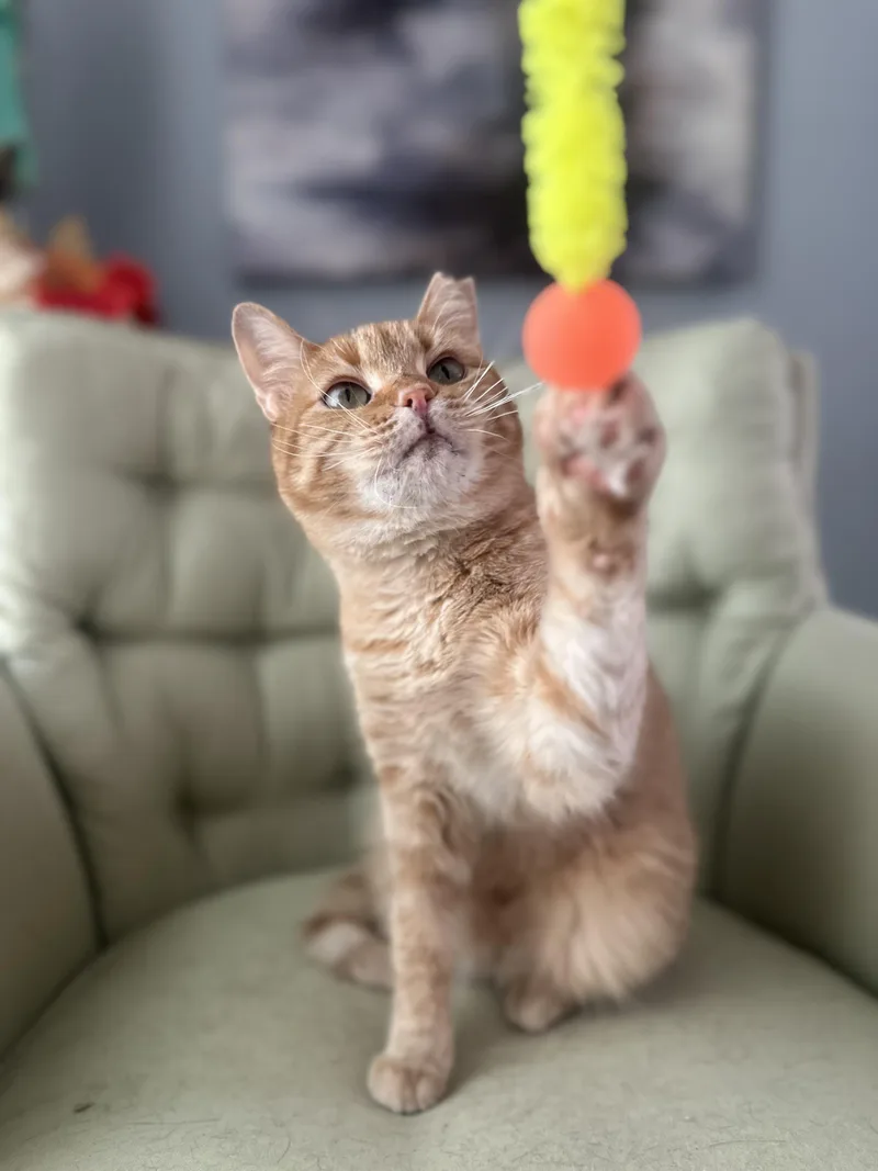 Maria  Riley Fuzzel thumbnail 2