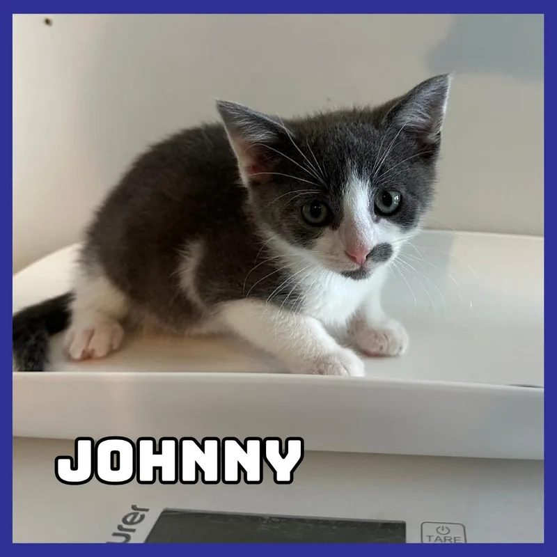 Johnny