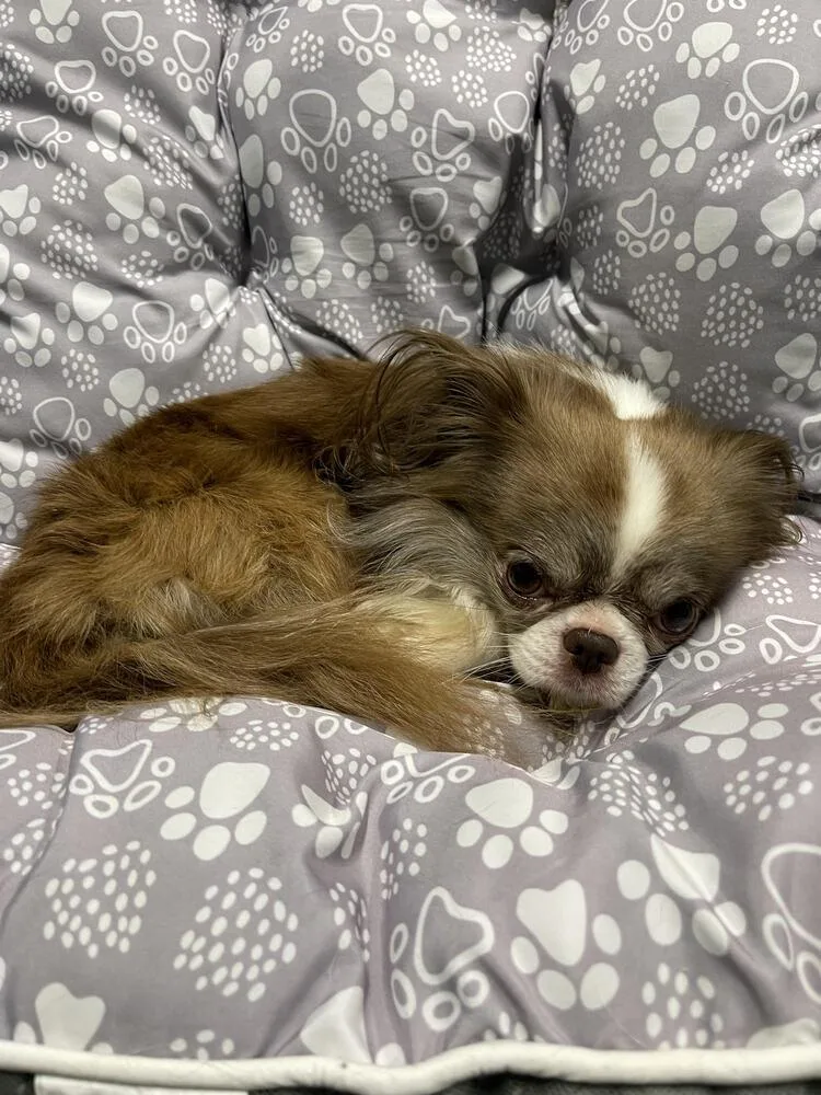 Charlie thumbnail 2