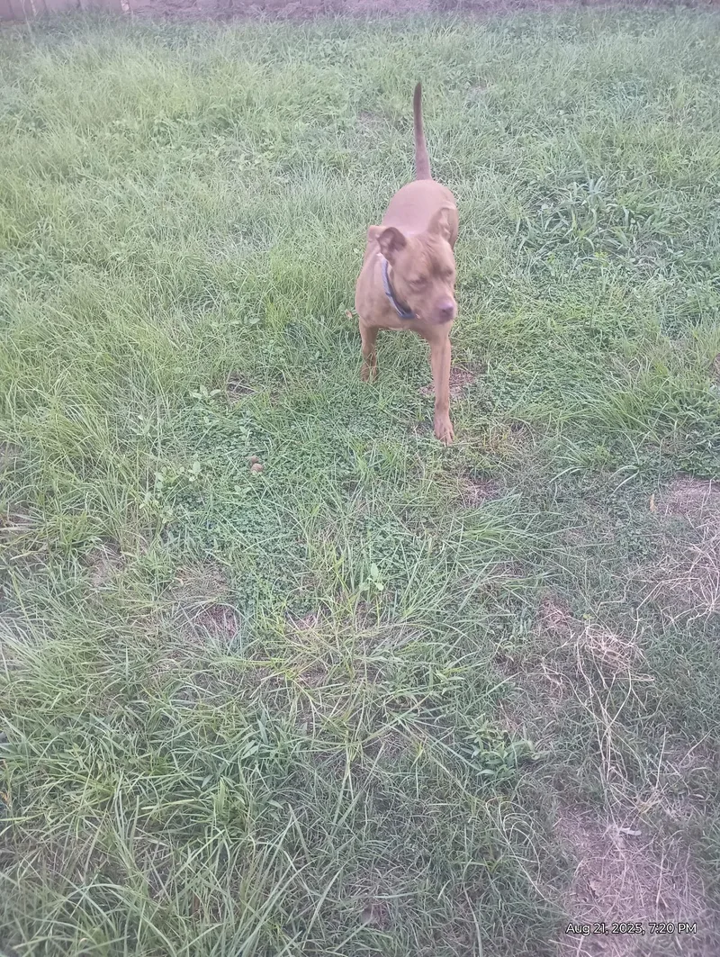 Coco Marie thumbnail 2