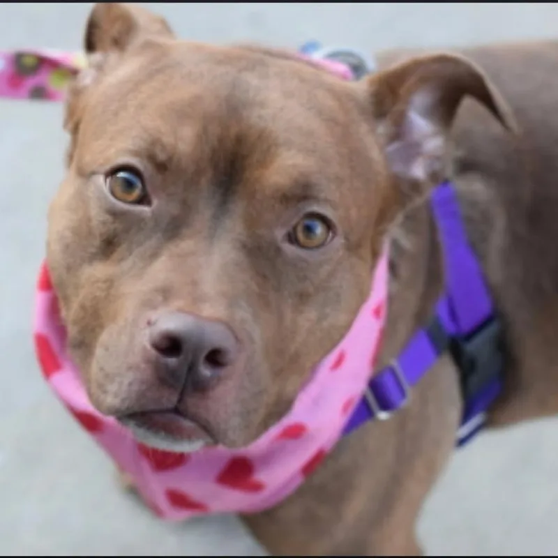 Coco Marie thumbnail 4