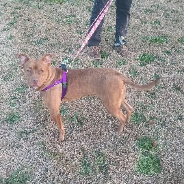 Coco Marie thumbnail 6