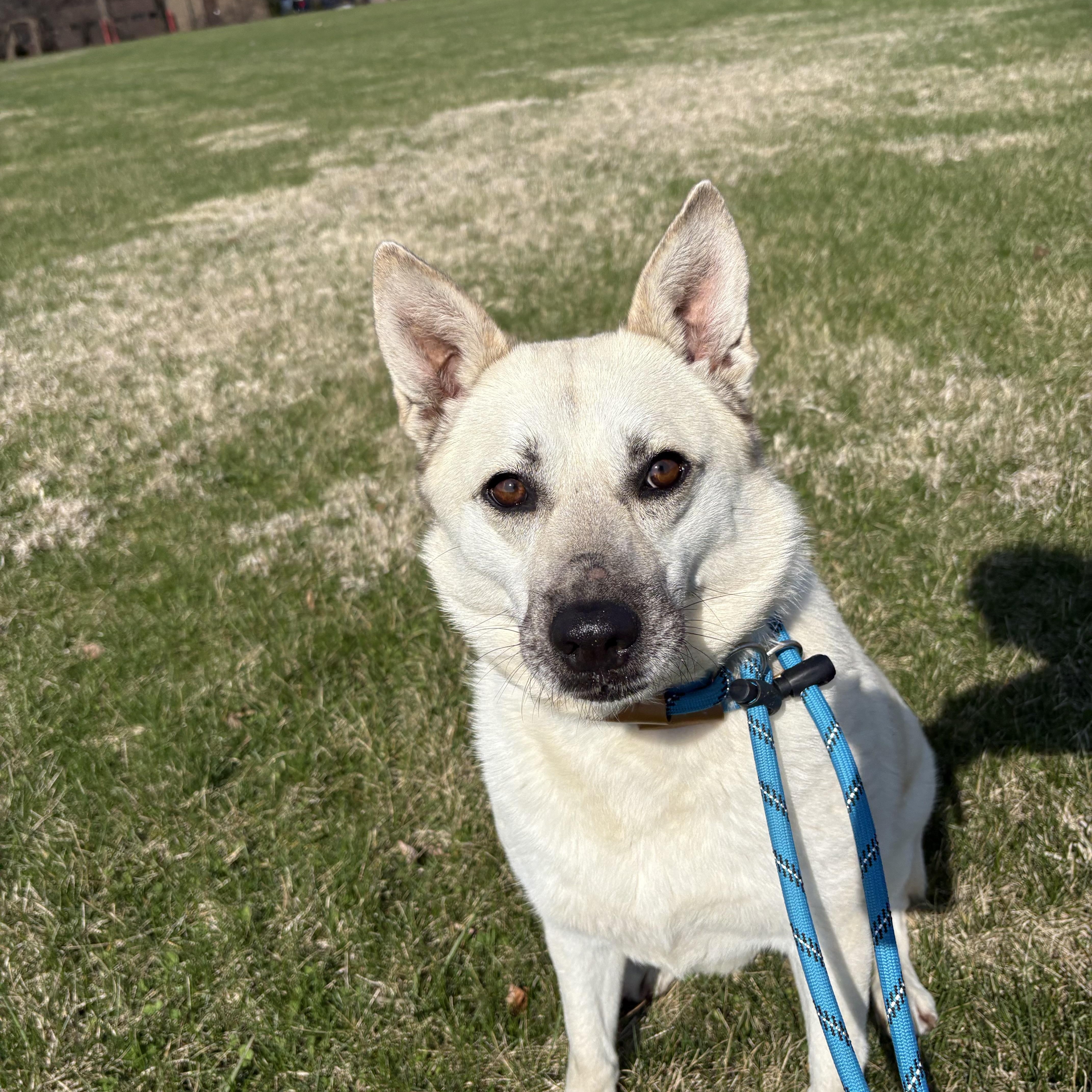 Katie Grace thumbnail 2