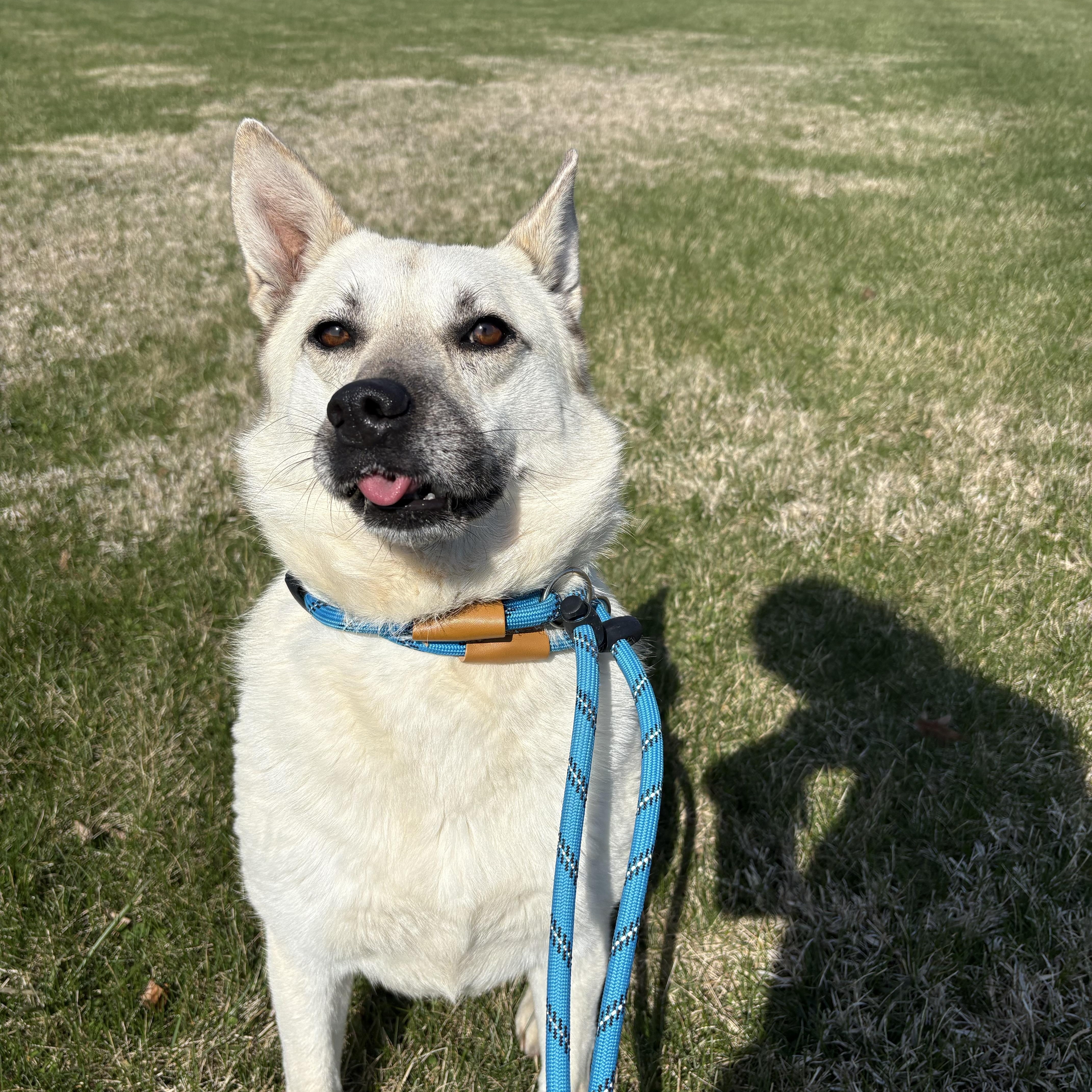 Katie Grace thumbnail 3