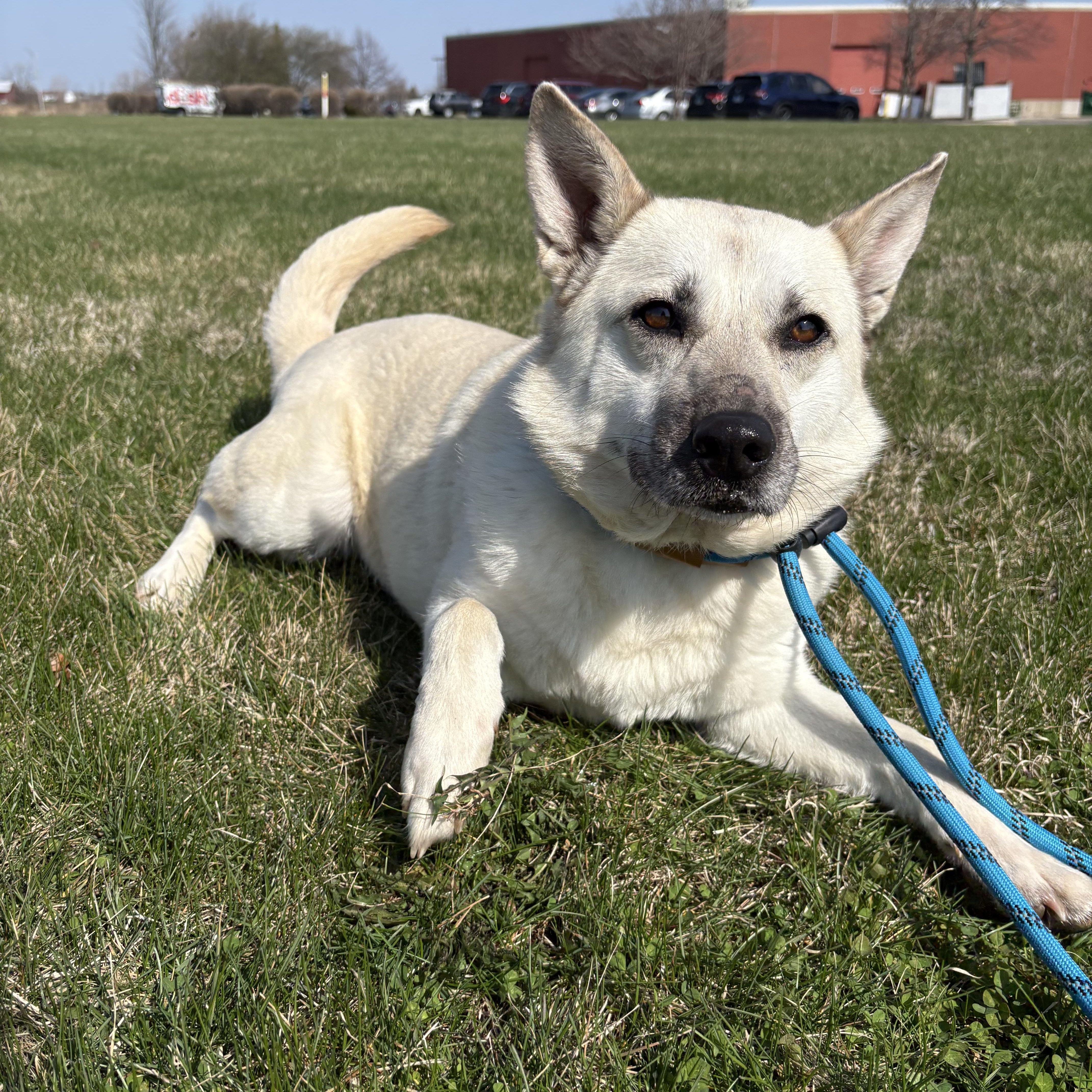 Katie Grace thumbnail 4