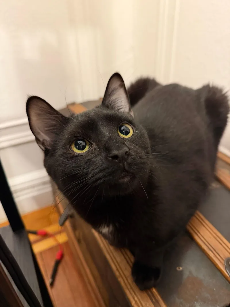 Rockland & Dutchess N. thumbnail 2