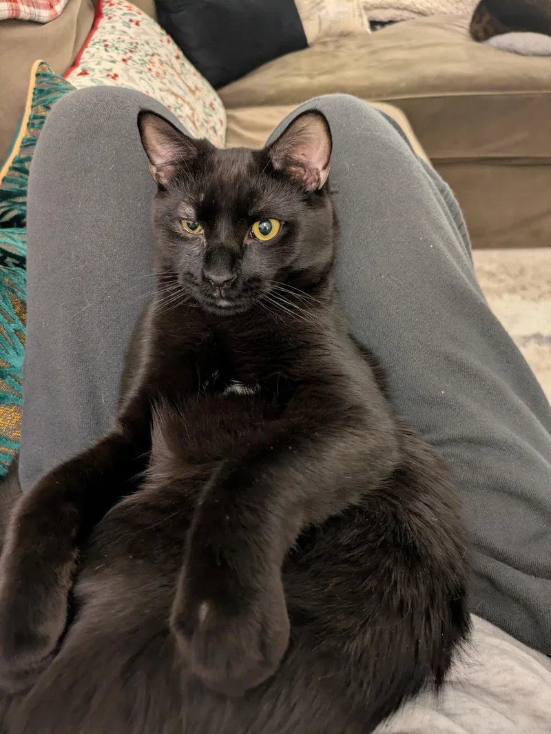 Rockland & Dutchess N. thumbnail 3