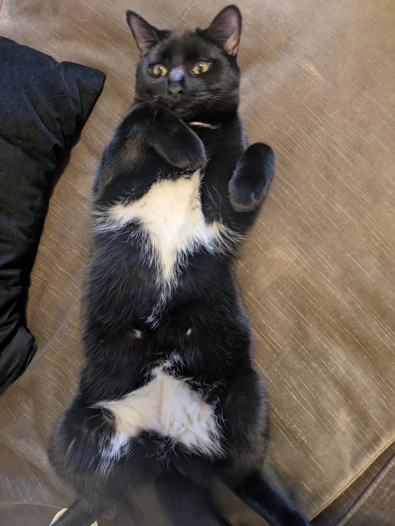 Rockland & Dutchess N. thumbnail 5