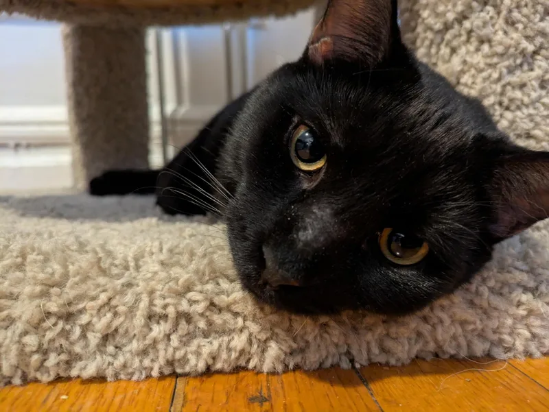 Rockland & Dutchess N.