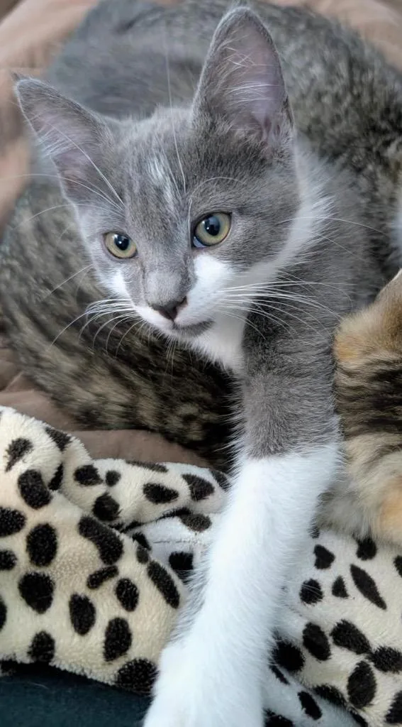 Claudia Aka Fern thumbnail 2