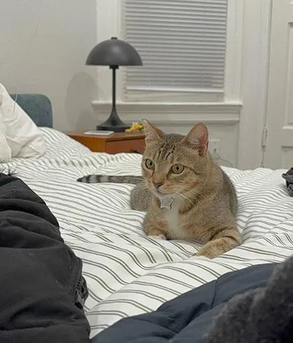 Tucker thumbnail 6