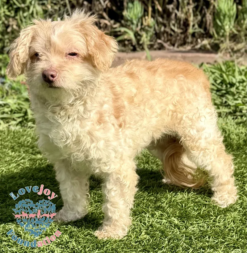 Maizie Coh thumbnail 2