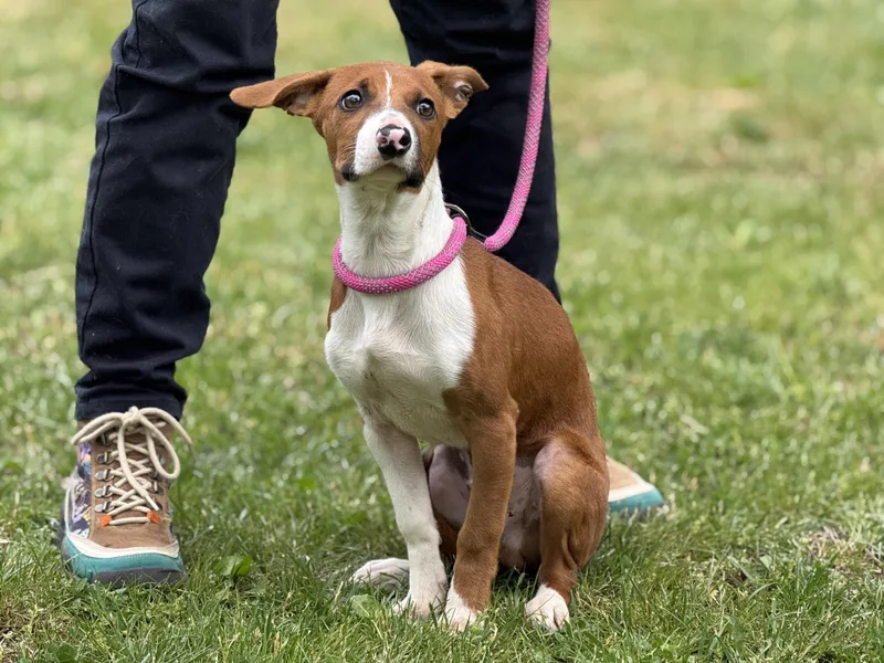 Freddy Mercury thumbnail 2