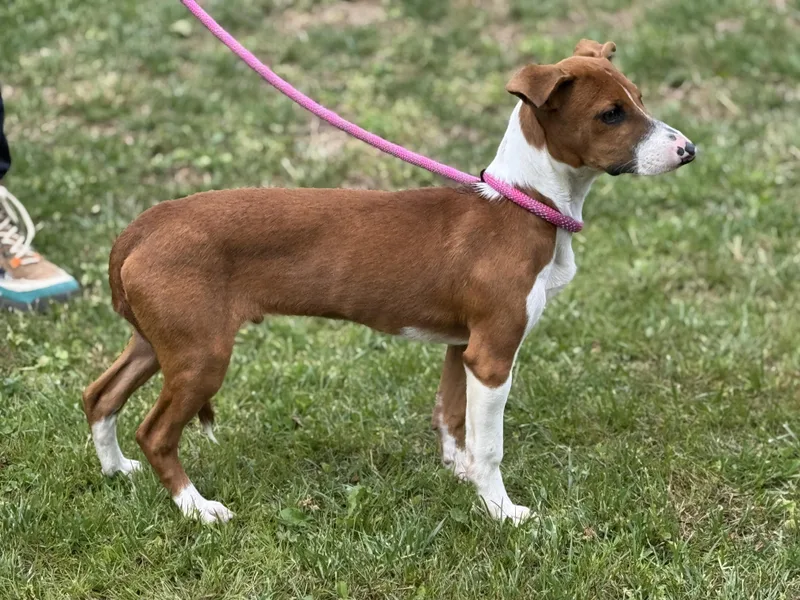 Freddy Mercury thumbnail 5