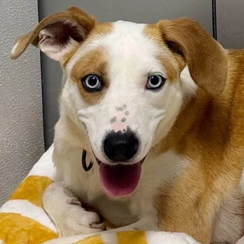 Botanical Babe thumbnail 2