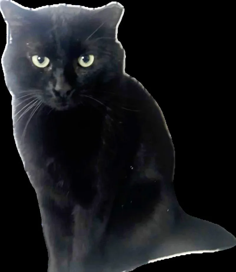 Midnight Stars thumbnail 3