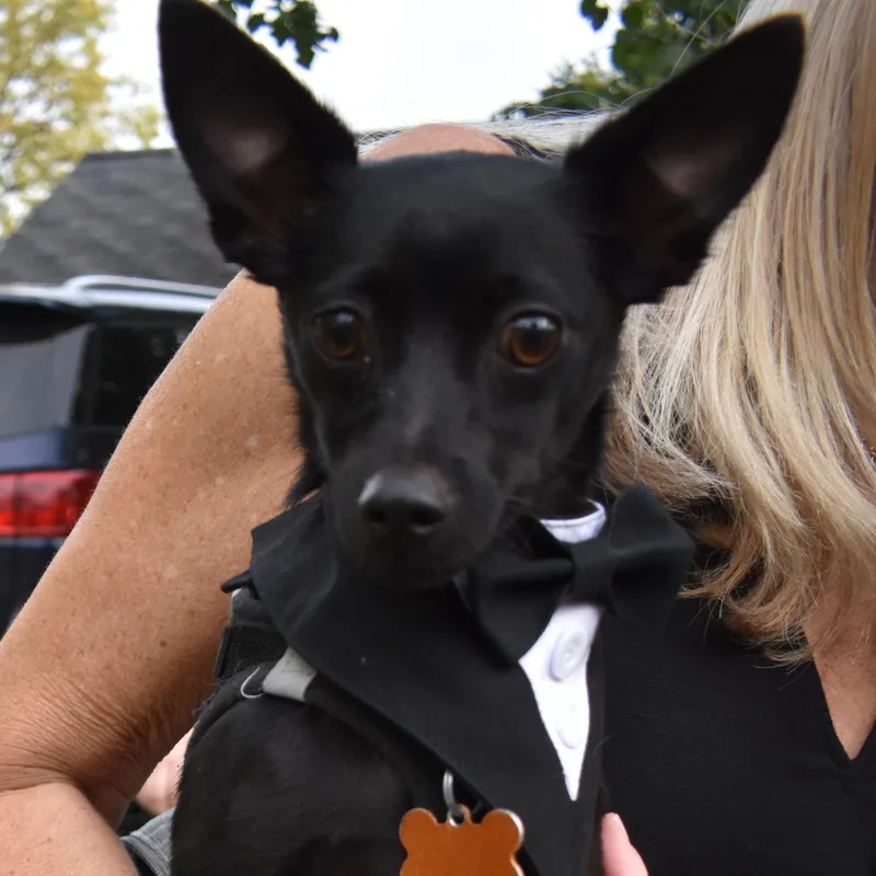 Paco thumbnail 3
